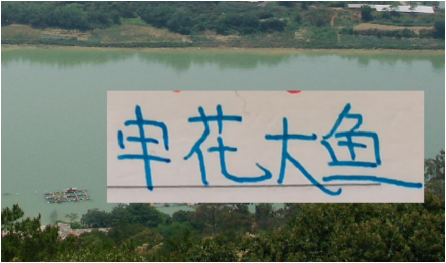 海港一条大鱼都没敲定 但申花大鱼已经浮出水面了