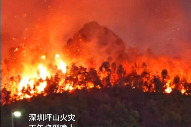 深圳技术大学附近突发山火 现场火光冲天