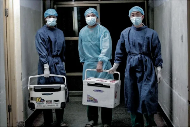 拥有罕见熊猫血 河南男子死亡捐3器官惹疑